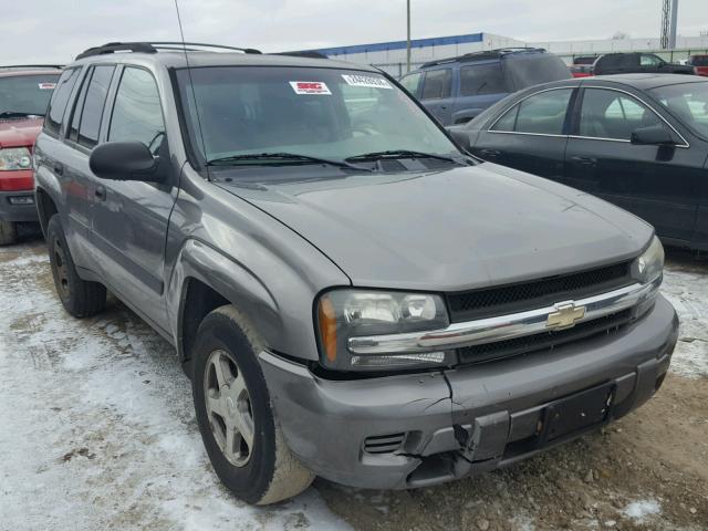 1GNDT13S352317253 - 2005 CHEVROLET TRAILBLAZE GRAY photo 1