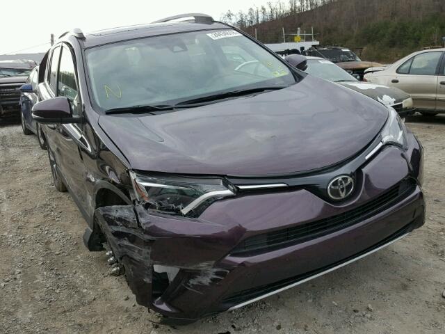 2T3RFREV5HW556021 - 2017 TOYOTA RAV4 XLE PURPLE photo 1