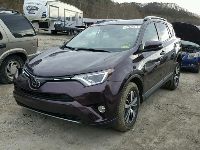 2T3RFREV5HW556021 - 2017 TOYOTA RAV4 XLE PURPLE photo 2