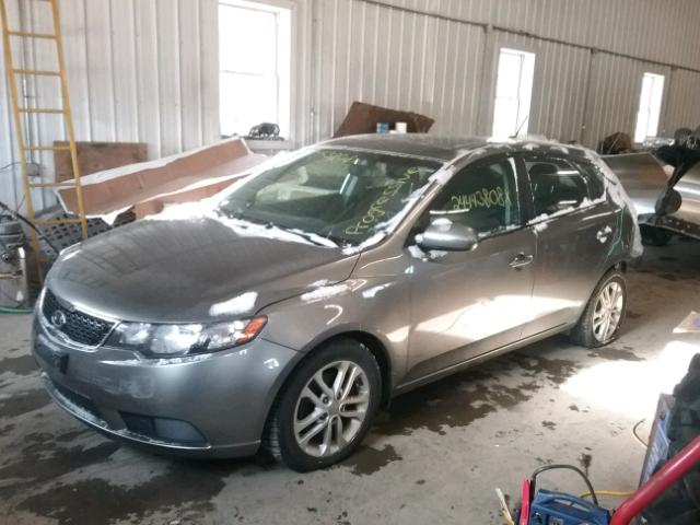 KNAFU5A21B5385518 - 2011 KIA FORTE EX GRAY photo 2