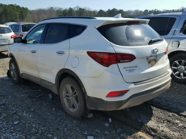 5NMZU3LB7HH011230 - 2017 HYUNDAI SANTA FE S WHITE photo 3