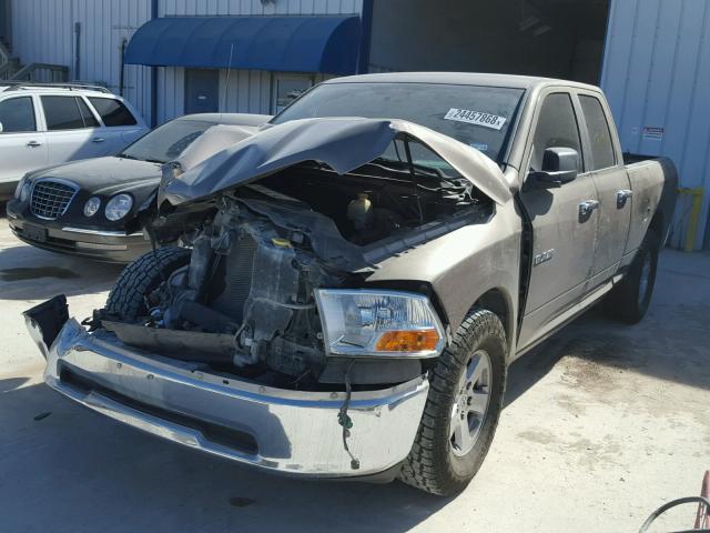 1D3HB18P29S802286 - 2009 DODGE RAM 1500 BROWN photo 2