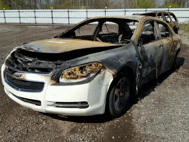 1G1ZH57B584283996 - 2008 CHEVROLET MALIBU 1LT WHITE photo 2