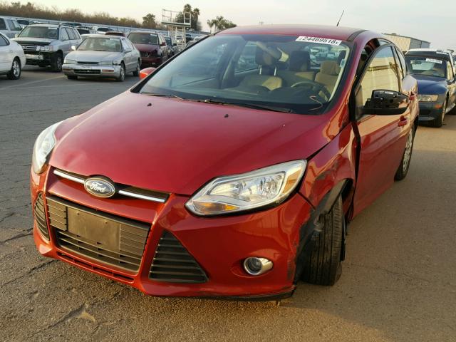 1FAHP3K21CL155261 - 2012 FORD FOCUS SE BURGUNDY photo 2