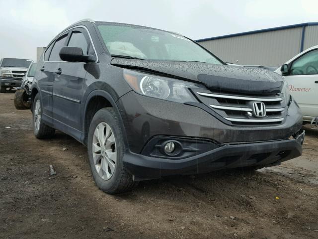 2HKRM4H78EH668210 - 2014 HONDA CR-V EXL BROWN photo 1