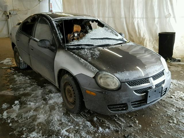 1B3ES56C65D179418 - 2005 DODGE NEON SXT GRAY photo 1