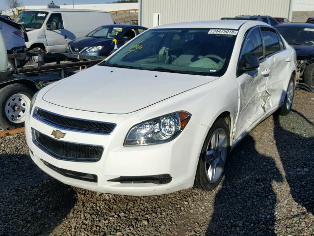 1G1ZB5E08CF281837 - 2012 CHEVROLET MALIBU LS WHITE photo 2