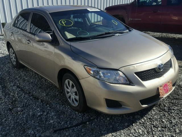 2T1BU4EE0AC314974 - 2010 TOYOTA COROLLA BA GOLD photo 1