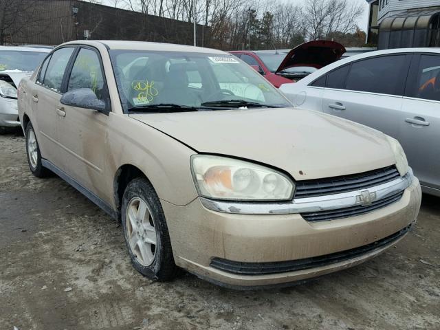 1G1ZT54845F150850 - 2005 CHEVROLET MALIBU LS GOLD photo 1