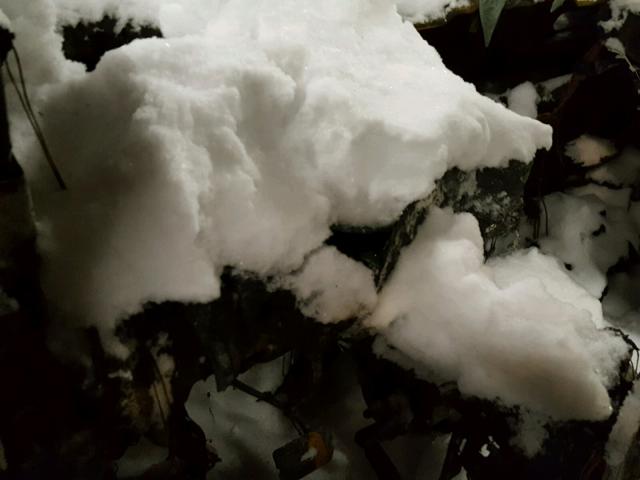 1J8FT47WX8D647618 - 2008 JEEP COMPASS SP SILVER photo 8