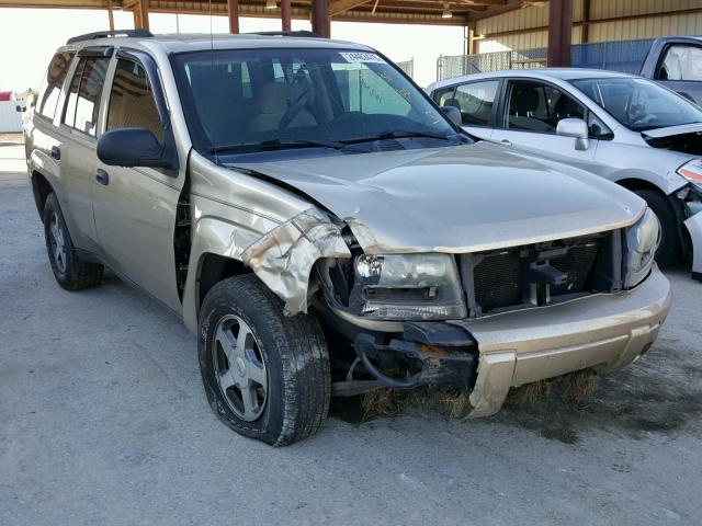 1GNDS13S662108500 - 2006 CHEVROLET TRAILBLAZE GOLD photo 1