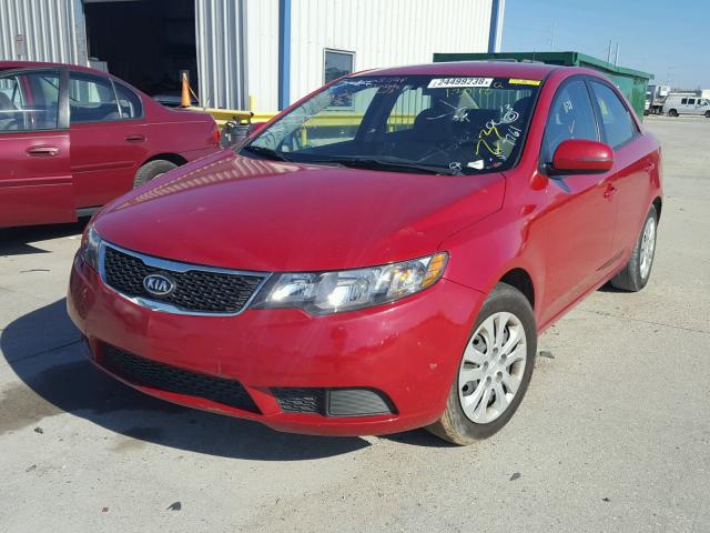 KNAFU4A2XD5726556 - 2013 KIA FORTE EX RED photo 2