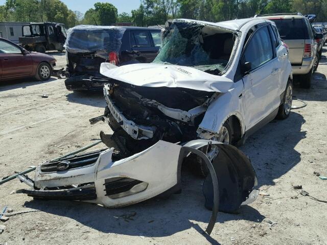 1FMCU0HX9DUC20282 - 2013 FORD ESCAPE SEL WHITE photo 2