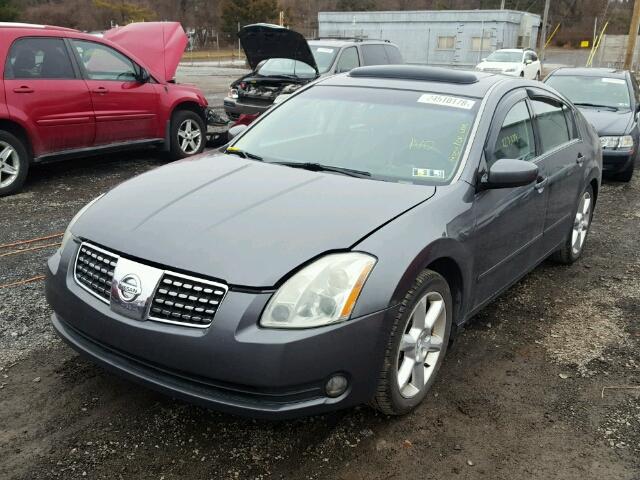 1N4BA41E04C916064 - 2004 NISSAN MAXIMA SE GRAY photo 2