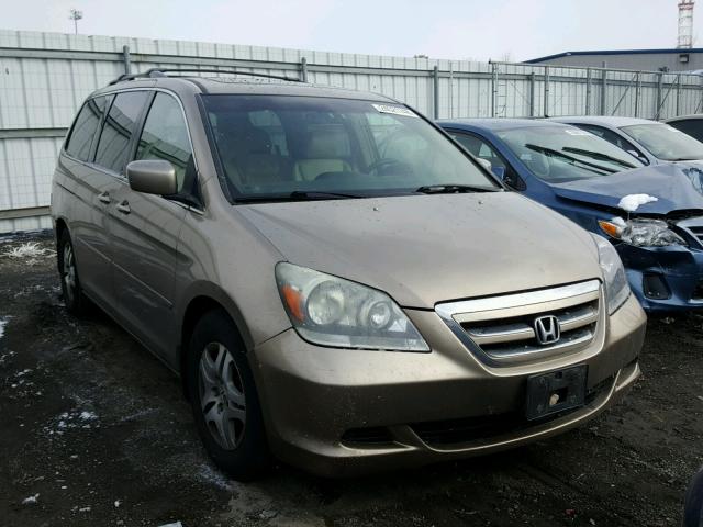 5FNRL38795B015817 - 2005 HONDA ODYSSEY EX GOLD photo 1