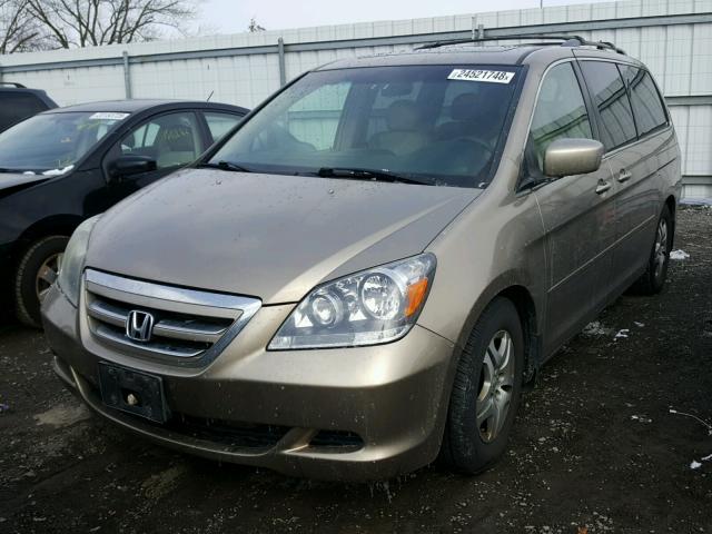 5FNRL38795B015817 - 2005 HONDA ODYSSEY EX GOLD photo 2