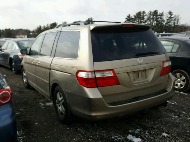 5FNRL38795B015817 - 2005 HONDA ODYSSEY EX GOLD photo 3