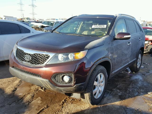 5XYKT3A16BG137983 - 2011 KIA SORENTO BA MAROON photo 2