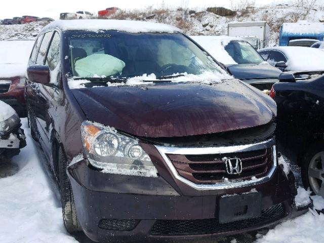 5FNRL3H74AB005335 - 2010 HONDA ODYSSEY EX BURGUNDY photo 1