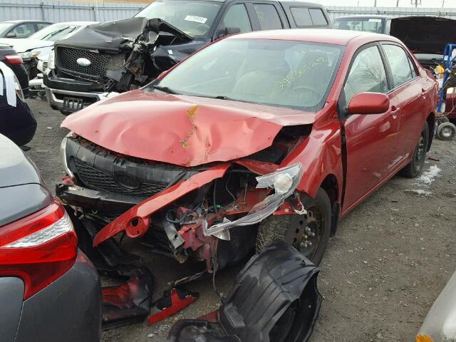 2T1BU40E39C013196 - 2009 TOYOTA COROLLA BA RED photo 2