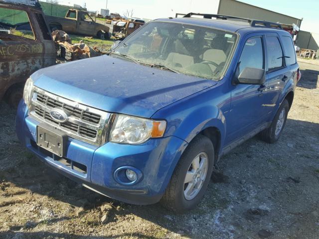 1FMCU0D71CKC68021 - 2012 FORD ESCAPE XLT BLUE photo 2