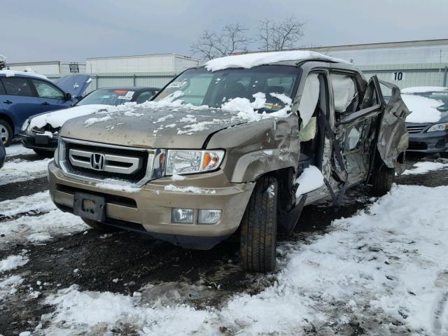 2HJYK16549H501113 - 2009 HONDA RIDGELINE GOLD photo 2