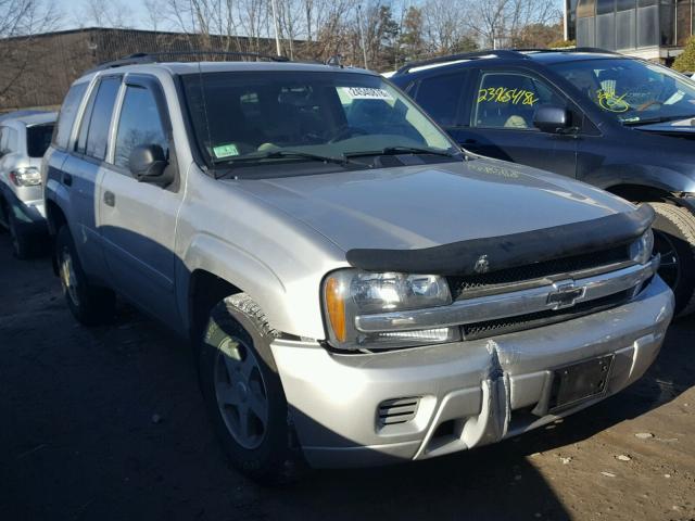 1GNDT13S962144856 - 2006 CHEVROLET TRAILBLAZE SILVER photo 1