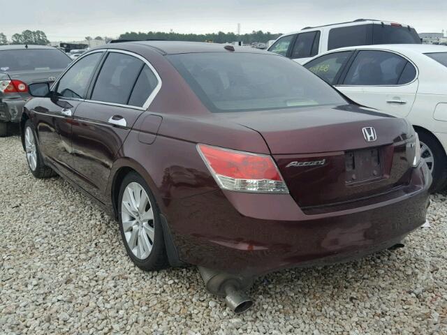 5KBCP3F84AB017122 - 2010 HONDA ACCORD EXL PURPLE photo 3