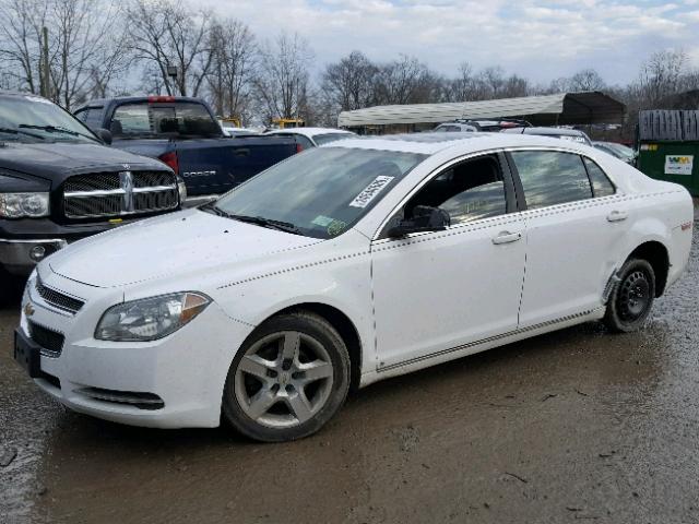 1G1ZC5EB9AF108677 - 2010 CHEVROLET MALIBU 1LT 白色 照片 2