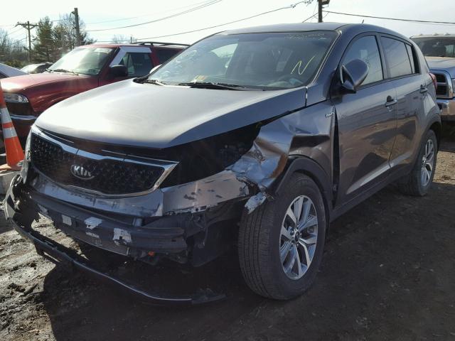 KNDPBCAC9F7780728 - 2015 KIA SPORTAGE L GRAY photo 2