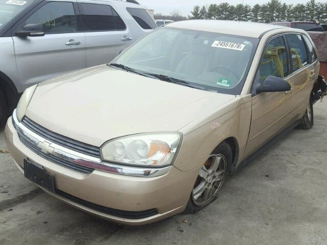 1G1ZT62814F202751 - 2004 CHEVROLET MALIBU MAX GOLD photo 2