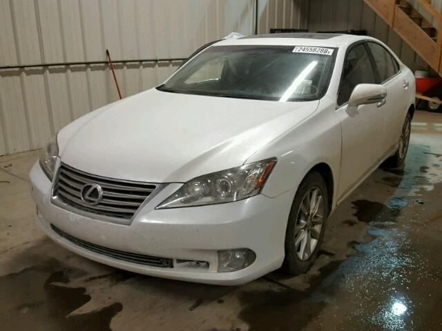 JTHBK1EG9A2354764 - 2010 LEXUS ES 350 WHITE photo 2