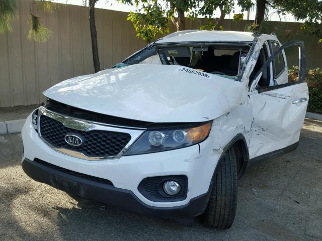 5XYKT4A69CG213201 - 2012 KIA SORENTO BA WHITE photo 2