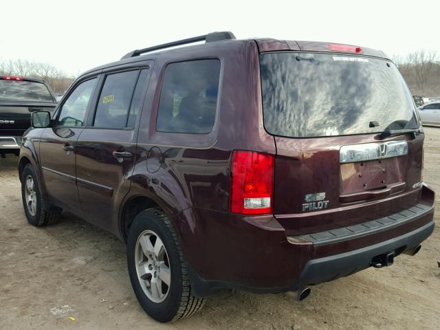 5FNYF4H52BB004340 - 2011 HONDA PILOT EXL BURGUNDY photo 3