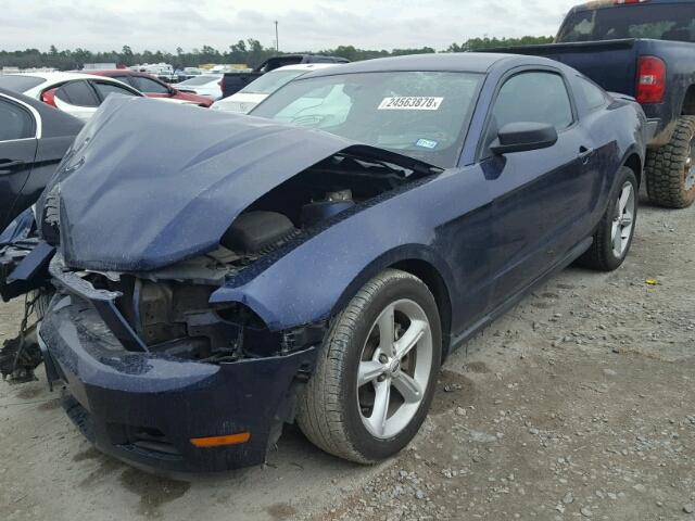 1ZVBP8AM1B5125354 - 2011 FORD MUSTANG BLUE photo 2