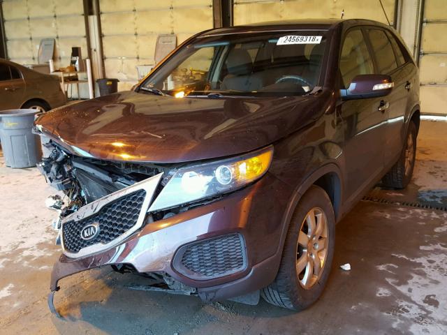 5XYKT3A10BG093608 - 2011 KIA SORENTO BA PURPLE photo 2