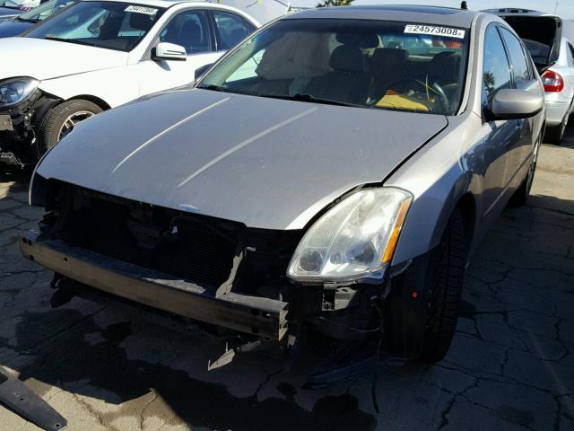 1N4BA41E74C922508 - 2004 NISSAN MAXIMA SE GOLD photo 2