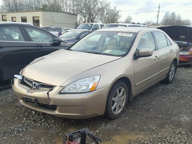 1HGCM66564A030645 - 2004 HONDA ACCORD EX GOLD photo 2