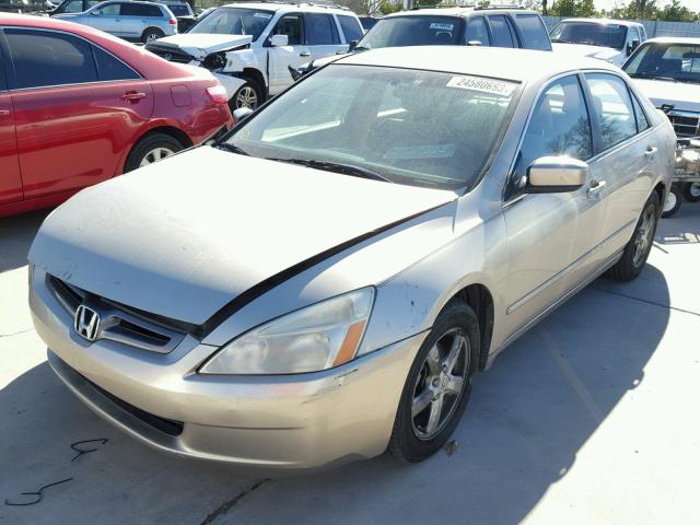 1HGCM56705A019671 - 2005 HONDA ACCORD EX GOLD photo 2