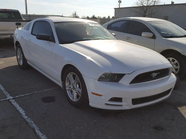 1ZVBP8AM7E5334201 - 2014 FORD MUSTANG WHITE photo 1