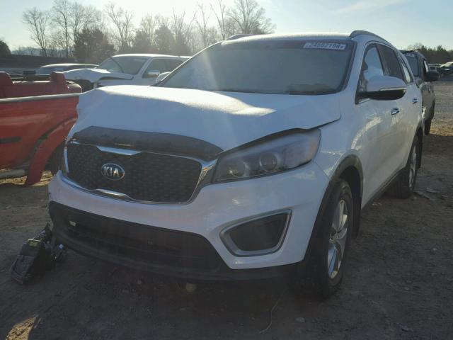 5XYPG4A30HG191631 - 2017 KIA SORENTO LX WHITE photo 2