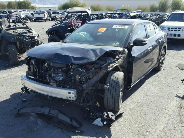 1N4AA6AP8GC389484 - 2016 NISSAN MAXIMA 3.5 BLACK photo 2