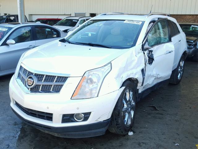 3GYFNBEY7BS556849 - 2011 CADILLAC SRX PERFOR 白色 照片 2