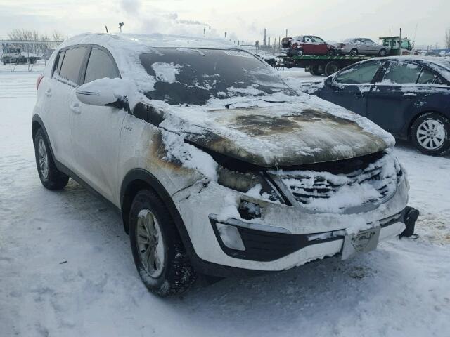 KNDPBCA29D7390104 - 2013 KIA SPORTAGE L WHITE photo 1