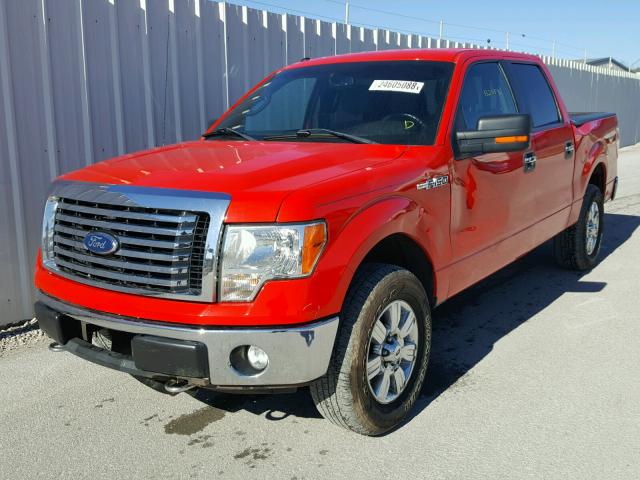 1FTFW1EF0BFC17429 - 2011 FORD F150 SUPER RED photo 2