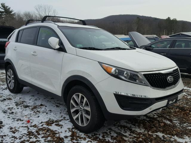 KNDPB3ACXE7667479 - 2014 KIA SPORTAGE B WHITE photo 1