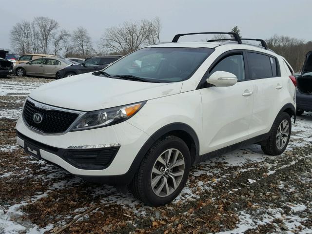 KNDPB3ACXE7667479 - 2014 KIA SPORTAGE B WHITE photo 2