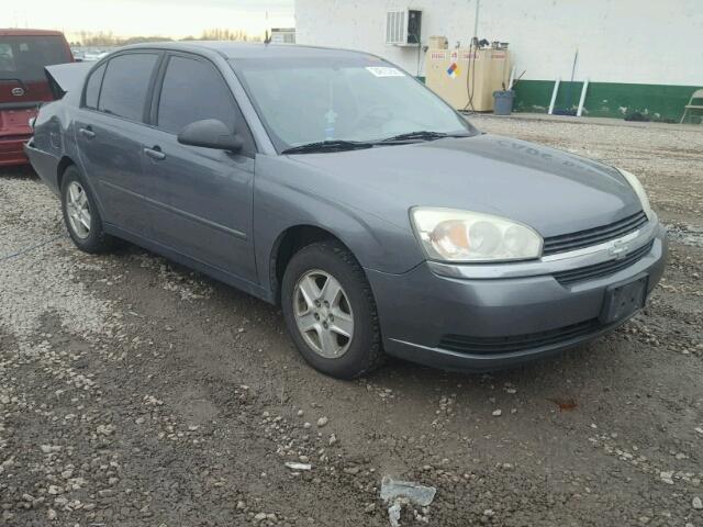 1G1ZT54845F245702 - 2005 CHEVROLET MALIBU LS CHARCOAL photo 1