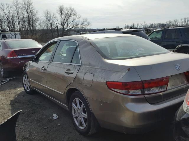 1HGCM66563A002441 - 2003 HONDA ACCORD EX TAN photo 3