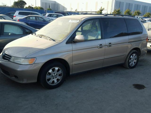 5FNRL18612B002907 - 2002 HONDA ODYSSEY EX GOLD photo 2